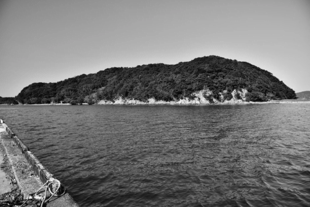 堤防から見える小島